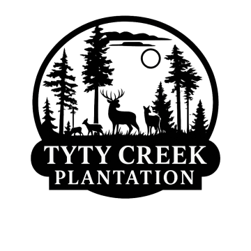 TyTy Creek Logo
